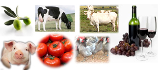 Ganadería y Agricultura Extremeña Ganadería y Agricultura Extremeña